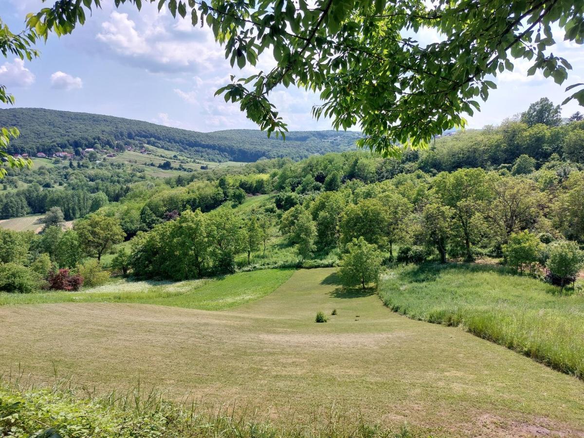 Holiday Home Franky Varazdin Breg Εξωτερικό φωτογραφία